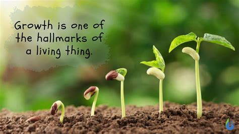 Grow Meaning .